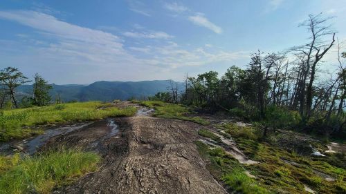 A scenic view of a rocky landscape with green grass and trees, under a clear blue sky and distant mountains.