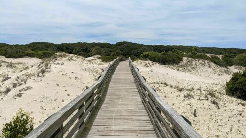 A wooden boardwalk leads through sandy dunes and greenery under a cloudy sky.
