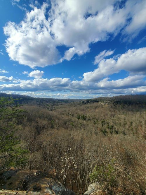 A panoramic view of a valley surrounded by trees under a bright blue sky with fluffy white clouds.