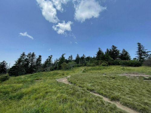 A grassy hillside with a winding path, surrounded by trees under a bright blue sky with scattered clouds.