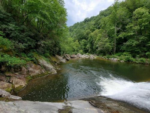 A serene river flows through a lush green forest, with rocky banks and gentle ripples on the water's surface.