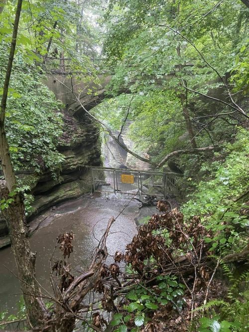A lush green forest with a stone arch bridge above a stream, featuring a gated area with a warning sign.