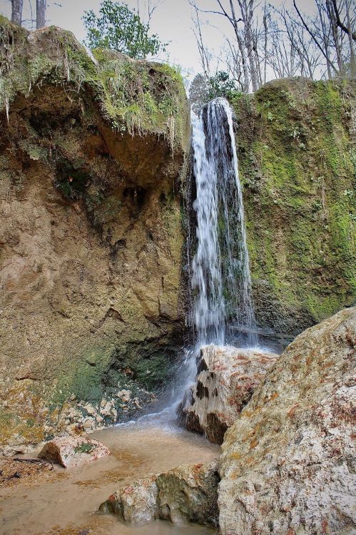 A small waterfall cascades over mossy rocks into a shallow pool, surrounded by trees and greenery.