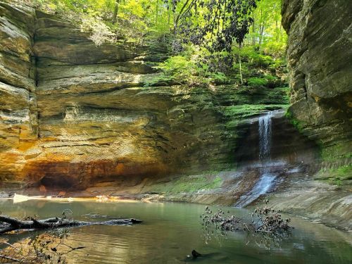 A serene waterfall cascades into a tranquil pool, surrounded by lush greenery and rocky cliffs.