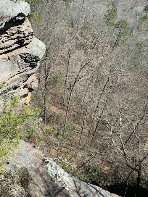 A rocky cliff edge overlooking a forest of bare trees in a mountainous area.