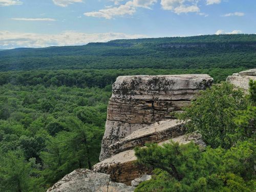 A rocky cliff overlooks a lush green forest under a blue sky with scattered clouds.