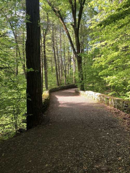 A winding gravel path through a lush green forest, bordered by trees and a stone wall.