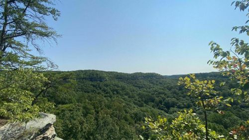 A panoramic view of lush green hills under a clear blue sky, framed by trees in the foreground.