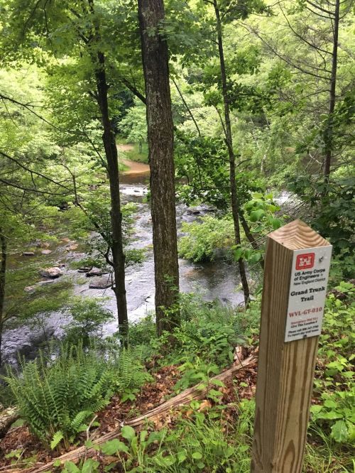 A wooded area with a stream and a trail sign for the Grand Trunk Trail among lush green trees.