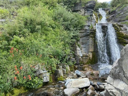 A serene waterfall cascades down rocky terrain, surrounded by lush greenery and vibrant flowers.