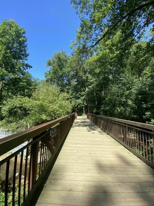 A wooden bridge stretches through a lush green forest under a clear blue sky. A person walks in the distance.