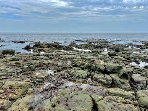 Rocky shoreline with tidal pools, under a cloudy sky and calm ocean in the background.