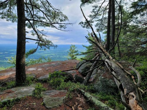 A scenic view from a rocky outcrop, surrounded by trees, overlooking a lush green valley under a cloudy sky.
