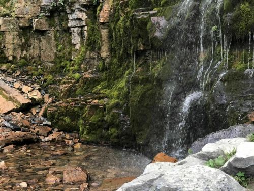 A serene waterfall cascading over moss-covered rocks into a clear stream, surrounded by lush greenery.