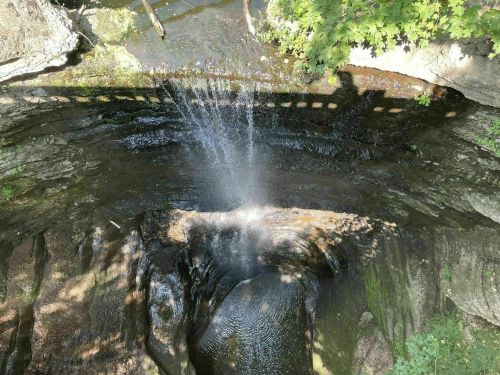 A waterfall cascading over rocks, surrounded by greenery, with sunlight filtering through the trees above.