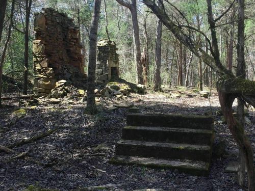 Ruins of stone structures surrounded by trees and underbrush, with a set of stone steps leading into the forest.