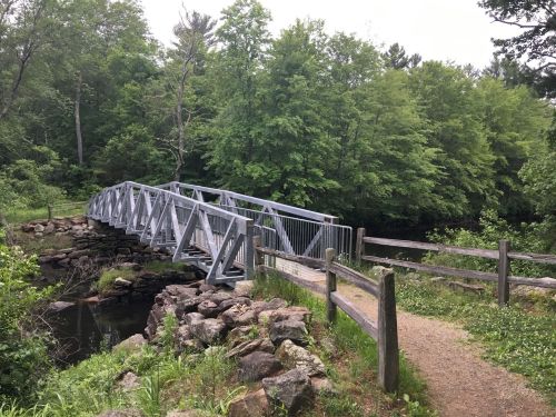A metal bridge spans a small stream, surrounded by lush green trees and a gravel path leading to it.