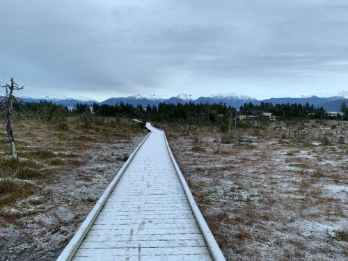 A wooden boardwalk leads through a snowy landscape with mountains in the distance under a cloudy sky.