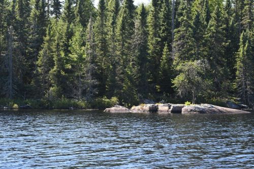A serene lake scene with calm water and a backdrop of dense green trees and rocky shoreline.