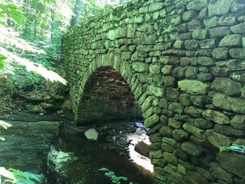 Stone arch bridge over a small stream, surrounded by lush green foliage in a wooded area.