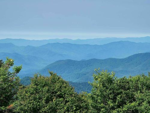 A panoramic view of layered blue mountains under a clear sky, framed by lush green foliage in the foreground.