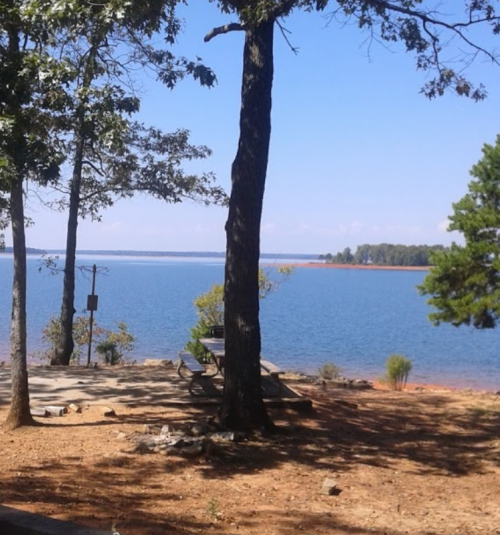 A serene lakeside view with trees, a picnic area, and calm blue water under a clear sky.