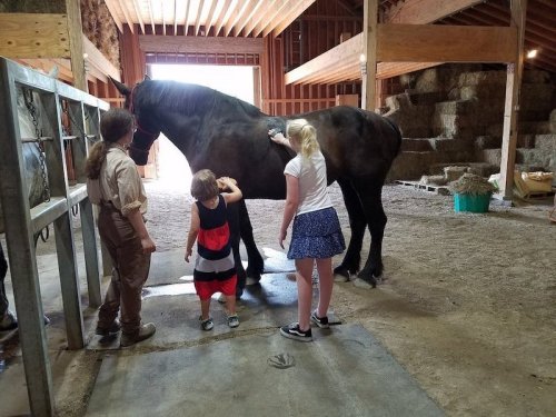 Two children pet a black horse in a barn, while an adult stands nearby. Hay bales are stacked in the background.