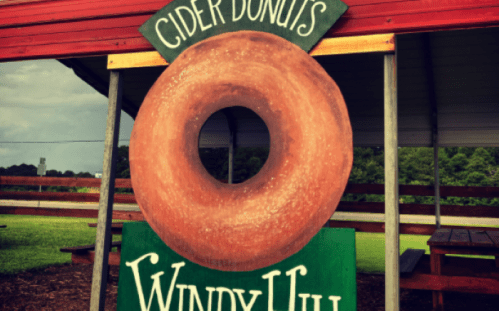 Sign featuring a large cider donut with the text "Cider Donuts" and "Windy Hill" beneath it, set in a rustic outdoor area.