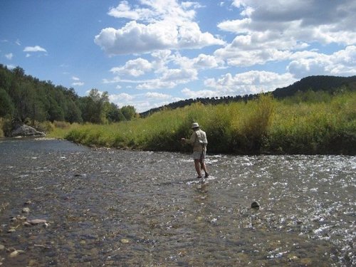 A person wades through a shallow river surrounded by lush greenery and a blue sky with fluffy clouds.