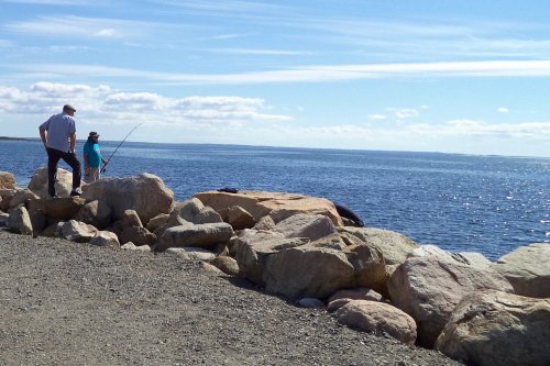 Two people fish from rocky shore under a clear blue sky, with calm water stretching out in the background.