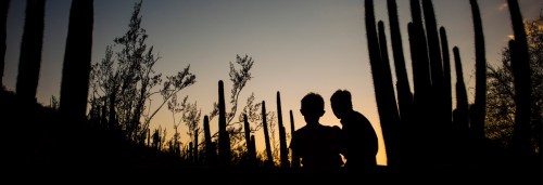 Silhouetted figures of two people against a sunset, surrounded by tall cacti and desert vegetation.