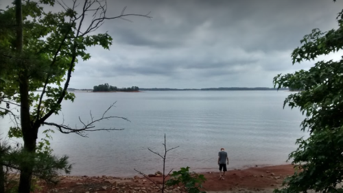 A person stands on a sandy shore by a calm lake, surrounded by trees under a cloudy sky.