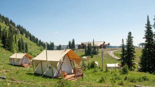 Tents set up in a lush green landscape with tall trees and a distant lodge under a clear blue sky.