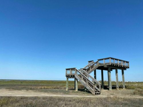 A wooden observation deck on stilts overlooking a grassy marsh under a clear blue sky.