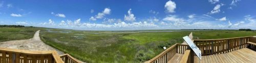 Panoramic view of a lush marshland under a bright blue sky with scattered clouds, featuring a wooden observation deck.