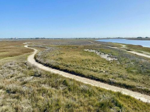 A winding dirt path through a grassy marshland, with a calm waterway visible in the background under a clear blue sky.