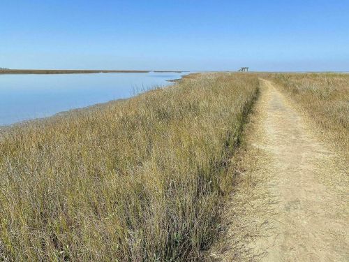 A serene landscape featuring a path beside a calm waterway, bordered by tall grass under a clear blue sky.