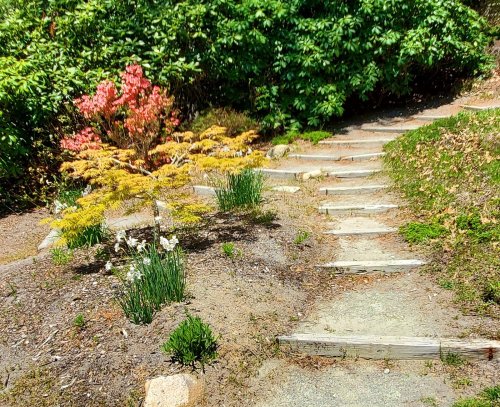 A winding stone path leads through a garden with colorful flowers and lush greenery on either side.
