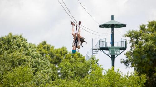 A person zip-lining upside down over a treetop canopy, with a tower visible in the background.