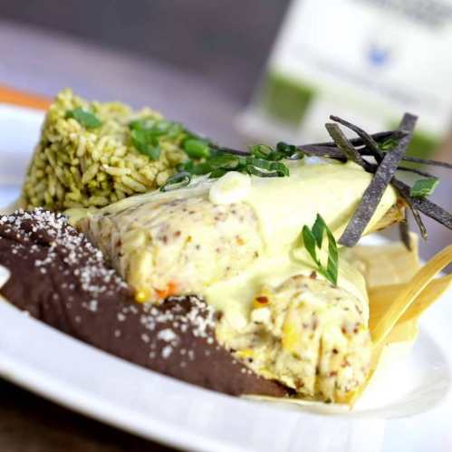A plate featuring a creamy dish with rice, garnished with herbs and black strips, alongside a dark sauce.
