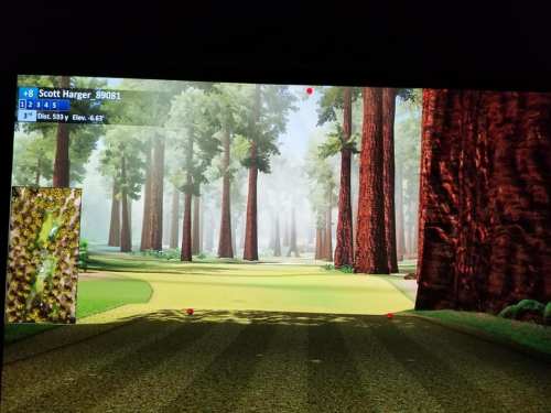 A virtual golf course scene with tall trees, a fairway, and a scoreboard displaying player information.