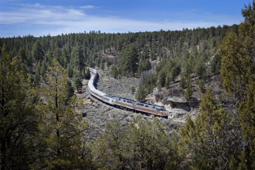 A train winds through a forested landscape, surrounded by trees and rocky terrain under a blue sky.