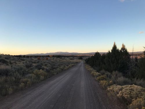 A dirt road stretches through a landscape of shrubs and trees, leading towards distant mountains under a clear sky.