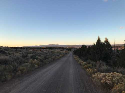 A dirt road stretches through a landscape of shrubs and trees, leading towards distant mountains under a clear sky.