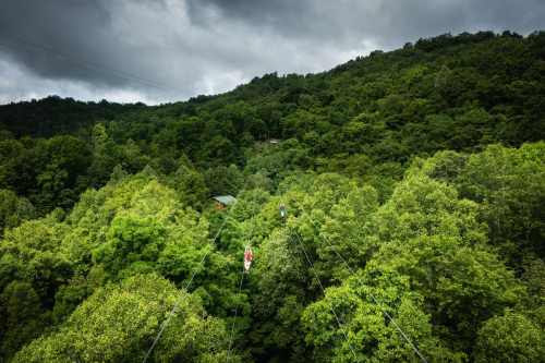 A zip line stretches over lush green trees under a cloudy sky, with two people gliding through the air.