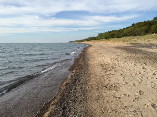 A serene beach scene with gentle waves lapping at the sandy shore, bordered by greenery under a blue sky.