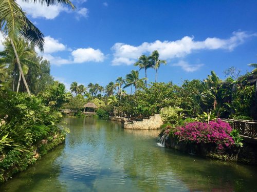 Lush tropical landscape with a calm river, palm trees, and vibrant flowers under a blue sky with fluffy clouds.