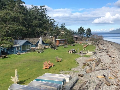 A serene waterfront scene with green grass, picnic tables, and boats along a rocky shore, surrounded by trees and blue skies.