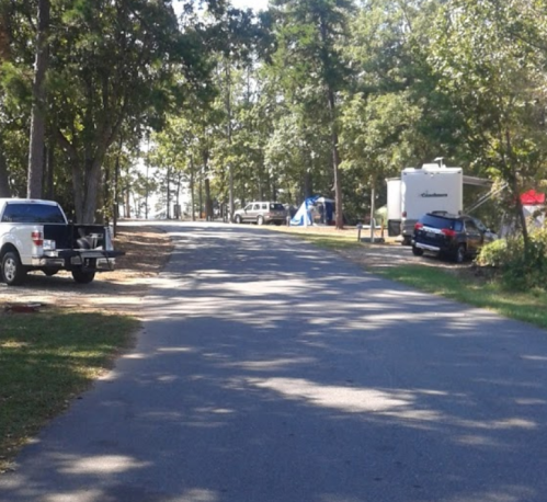 A peaceful campground scene with a gravel road, parked vehicles, and trees lining the area.
