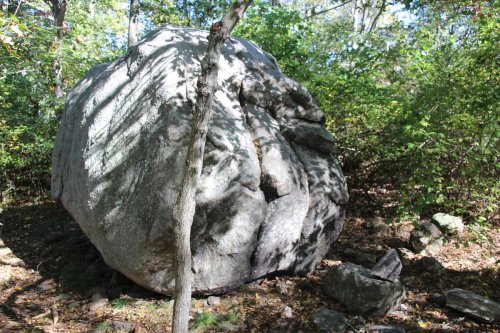 A large boulder surrounded by trees and foliage in a natural setting. Sunlight casts shadows on the rock.